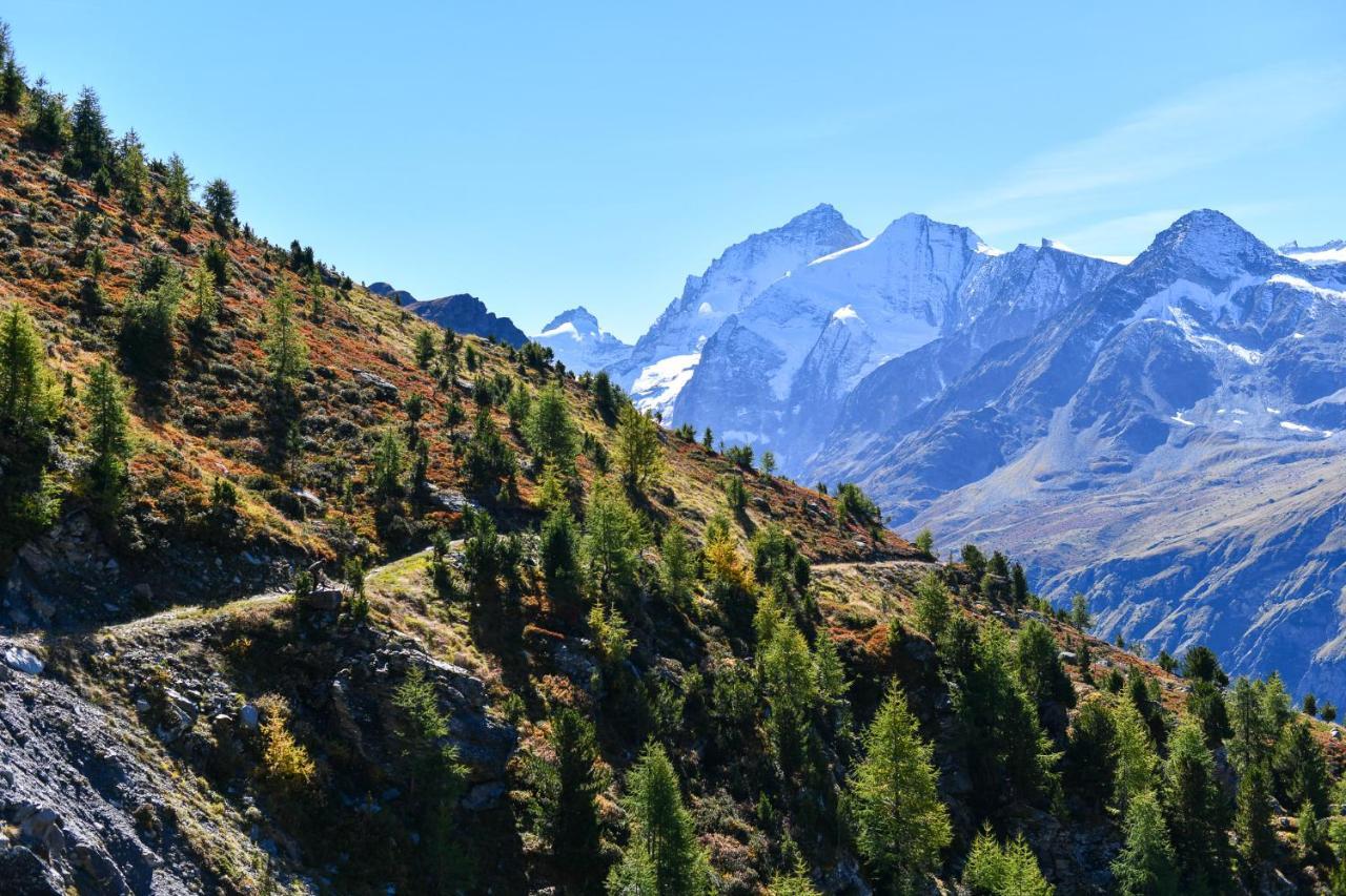 Hotel Le Besso - Swiss Romantic Lodge ジナル エクステリア 写真